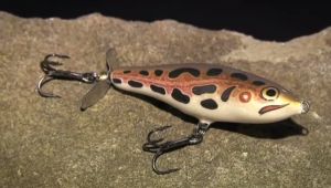 Pic: Mick Fletoridis